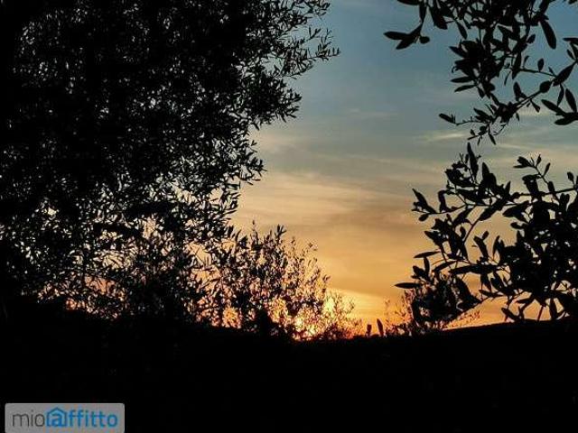 Appartamento arredato Campagnatico