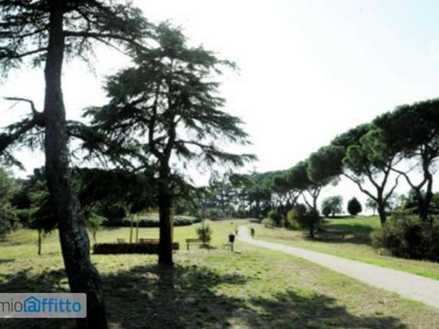 Appartamento arredato Flaminio, fleming, vigna clara, camilluccia
