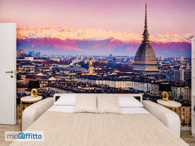 Appartamento arredato Mirafiori nord