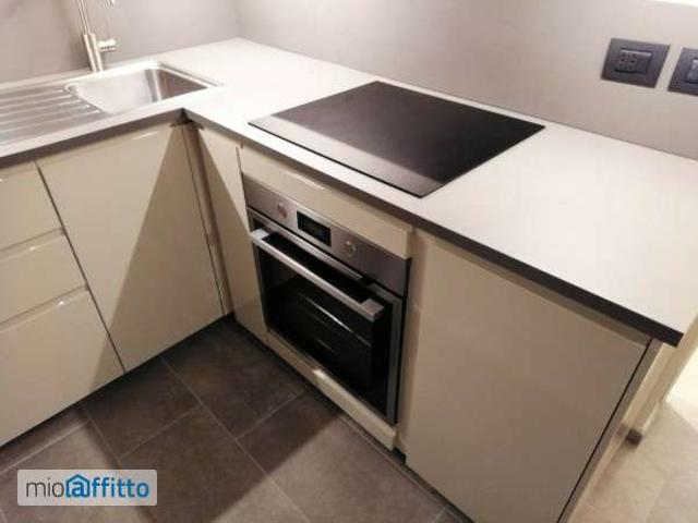 Appartamento arredato Mirafiori sud