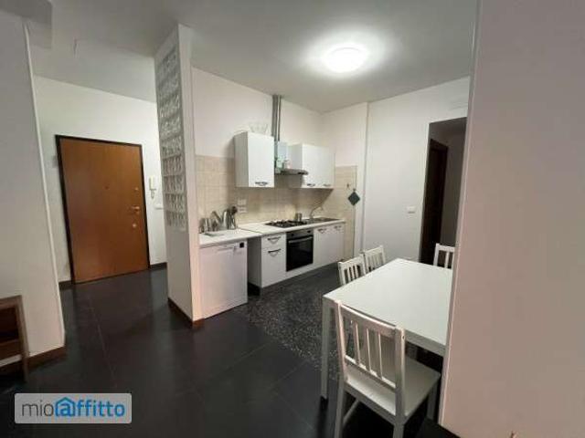 Appartamento arredato Saffi