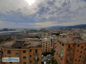 Via Lodovico Calda, Municipio Sesto Medio Ponente, Gazzo Genova, Genova Liguria, Liguria