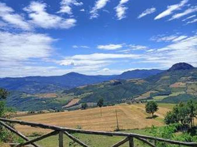 Appartamento arredato Travo