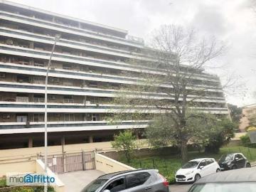 Appartamento arredato Trigoria, spinaceto, tor de cenci, vallerano