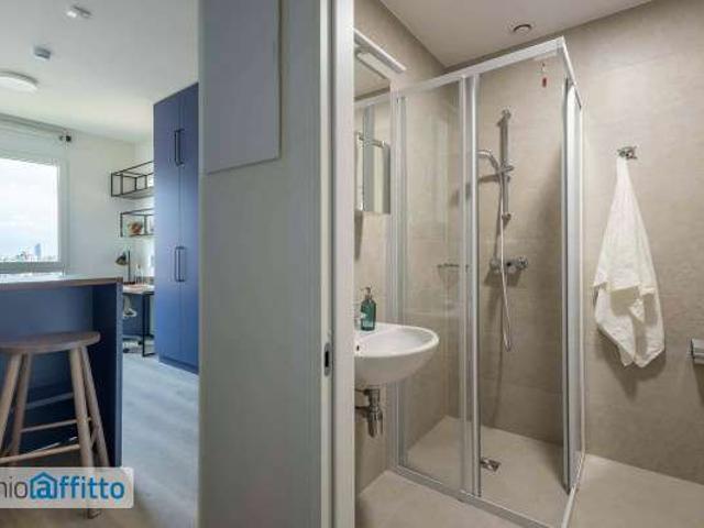 Appartamento arredata con terrazzo Bolognina