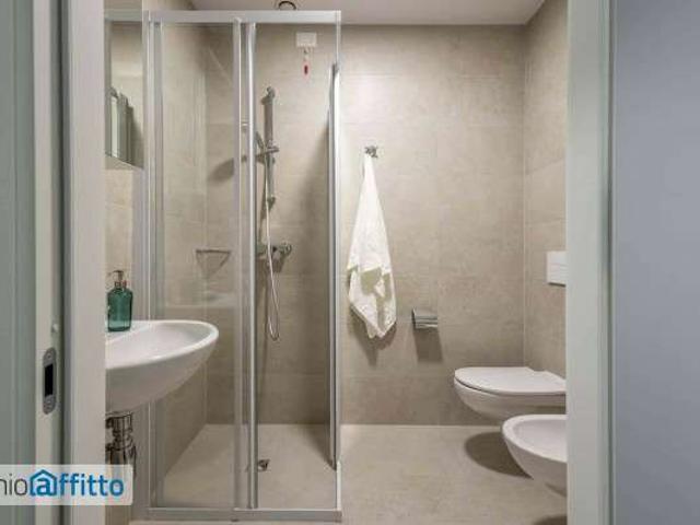 Appartamento arredata con terrazzo Bolognina