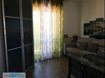 Appartamento arredata con terrazzo Centro
