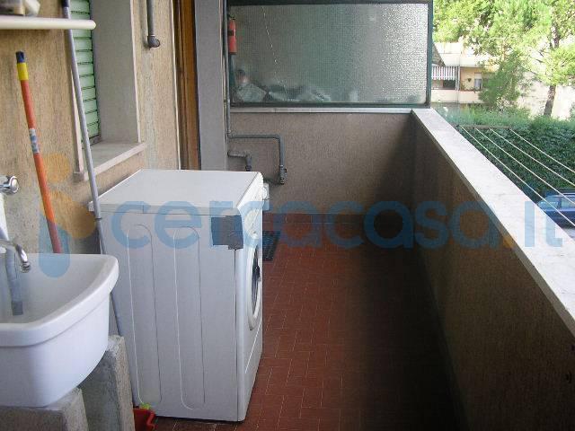 Appartamento Bilocale in affitto a Pisa
