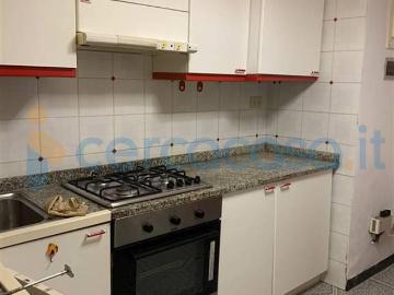 Appartamento Bilocale in affitto a Siena