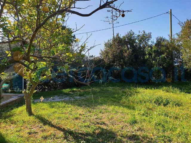 Appartamento Bilocale in ottime condizioni, in affitto in Via Peducelli 12, Capoliveri