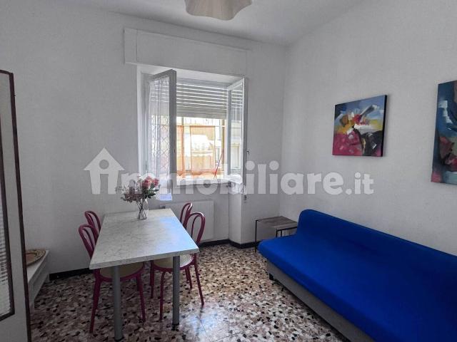 Appartamento buono stato, primo piano, Torre del Lago, Viareggio