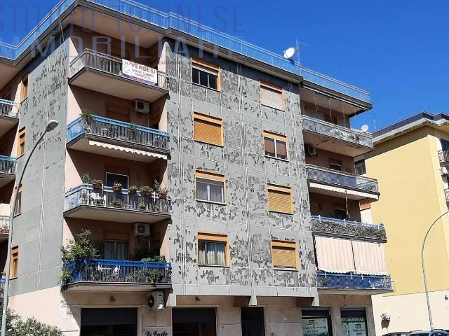 APPARTAMENTO + DI 4 LOCALI in affitto a Cassino