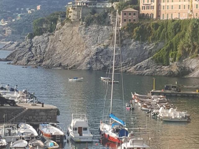 Appartamento di 50 mq a Camogli