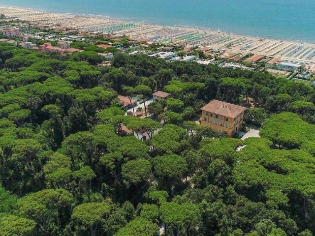 Appartamento di prestigio di 765 m² in vendita Viale Apua, Pietrasanta, Lucca, Toscana