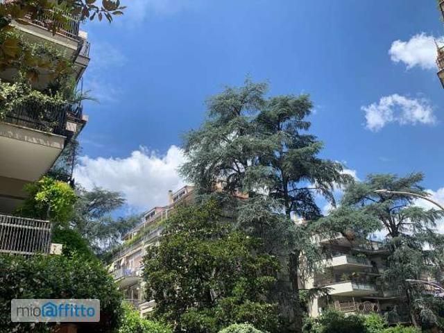 Appartamento Flaminio, fleming, vigna clara, camilluccia