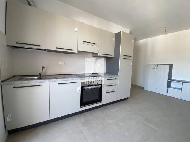 Appartamento in affitto a Mantova MN