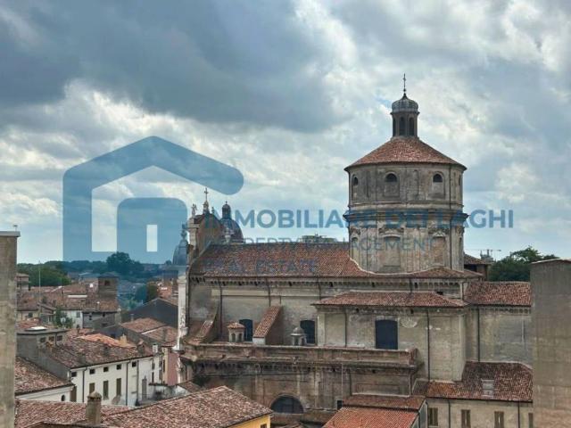 Appartamento in affitto a Mantova MN