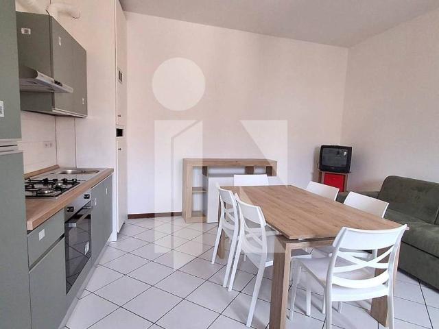 Appartamento in affitto a Mantova MN