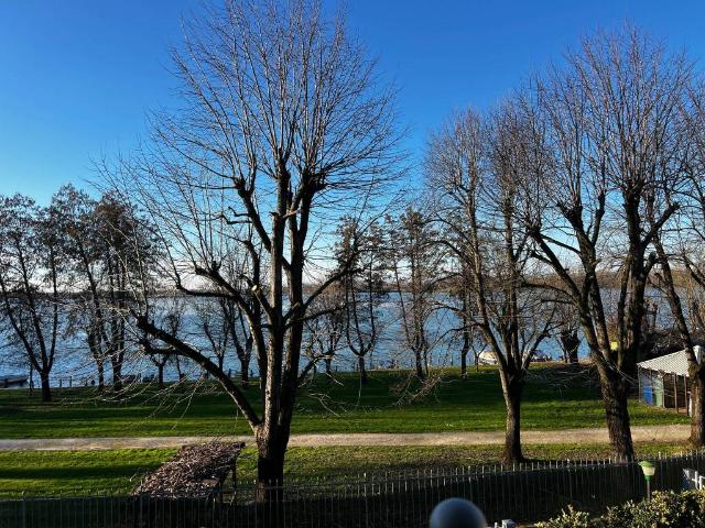Appartamento in affitto a Mantova MN