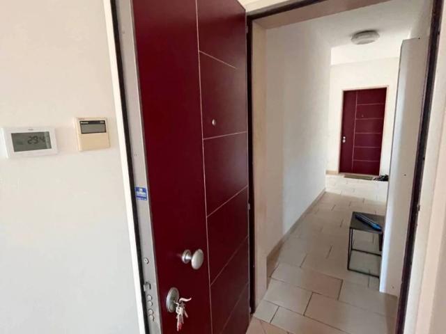 Appartamento in affitto a Mantova MN