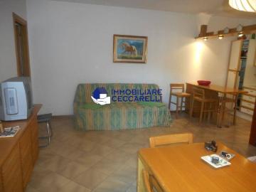 Appartamento in affitto a Massa MS