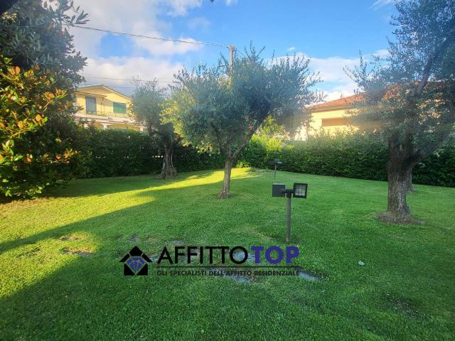 Appartamento in Affitto a Massa