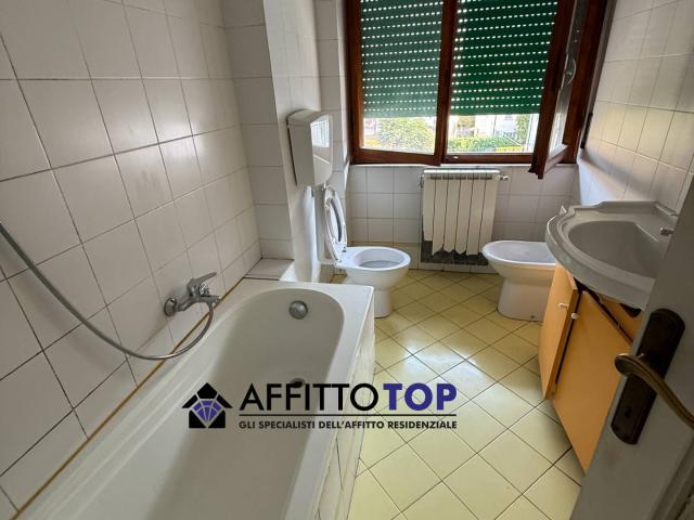 Appartamento in Affitto a Massa