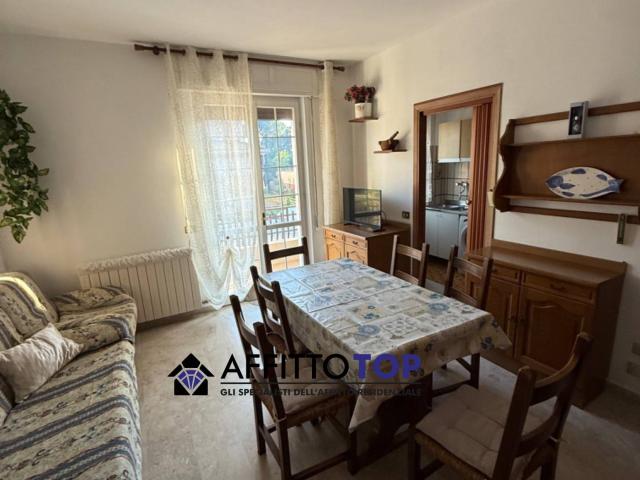 Appartamento in Affitto a Massa