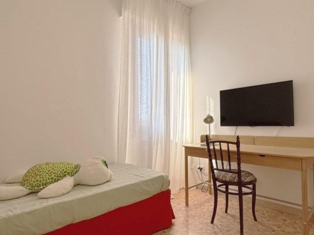 Appartamento in affitto a Massa