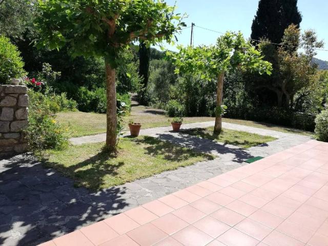 Appartamento in affitto a Marciana LI