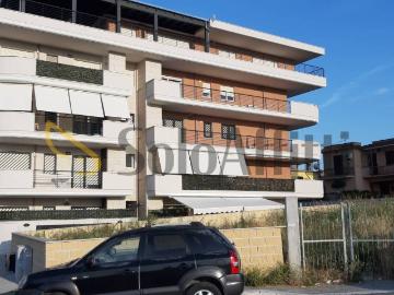 Appartamento in affitto a Marino RM