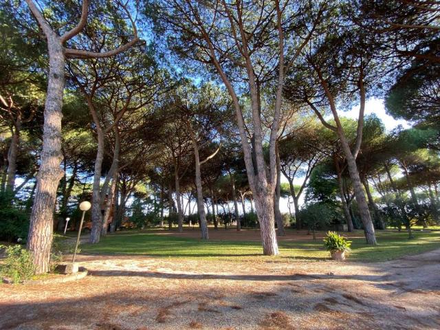 Appartamento in affitto a Marino RM