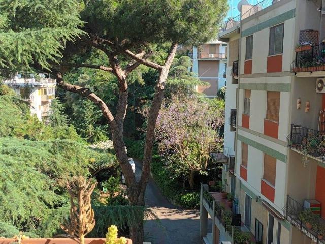 Appartamento in affitto a Messina ME