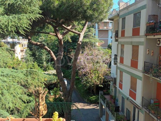 Appartamento in affitto a Messina viale Regina Margherita, 61, non arredato/vuoto, giardino, posto auto TrovaCasa