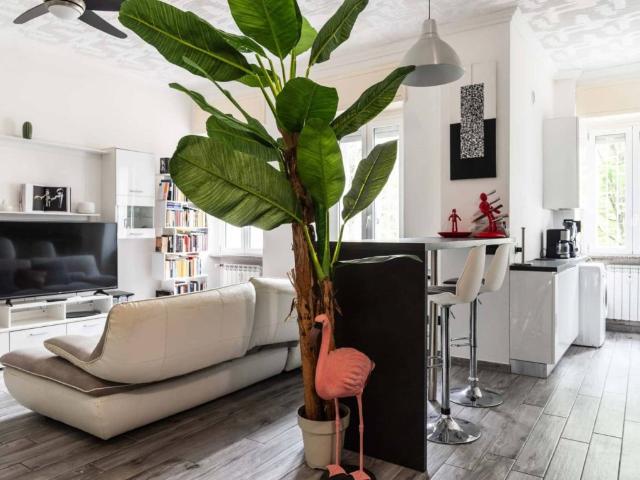 Appartamento in affitto a Milano via Curio Dentato, luminoso, cucina a vista, studio TrovaCasa
