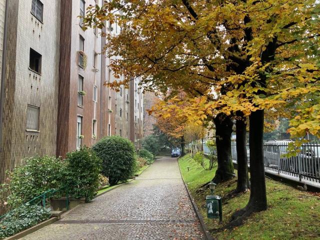 Appartamento in affitto a Milano MI