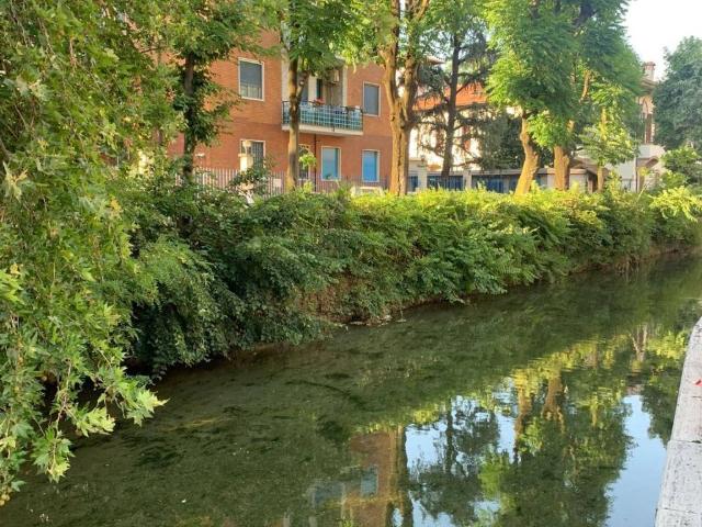 Appartamento in affitto a Milano MI