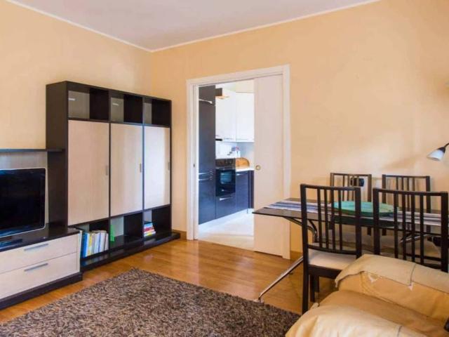 Appartamento in affitto a Milano MI