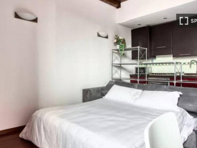 Appartamento in affitto a Milano MI
