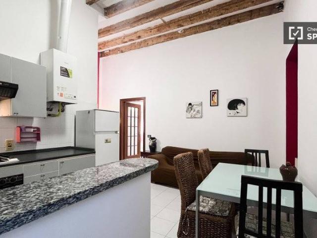 Appartamento in affitto a Milano MI