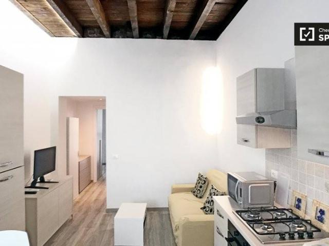 Appartamento in affitto a Milano MI