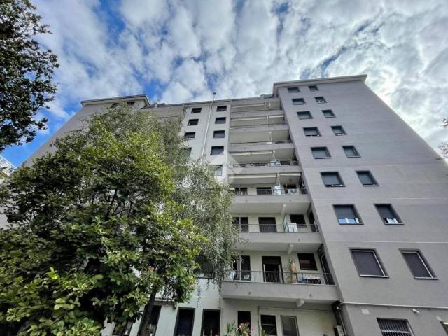Appartamento in affitto a Milano MI