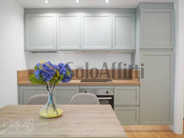 Appartamento in affitto a Milano MI