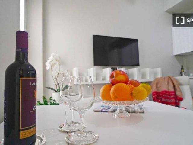 Appartamento in affitto a Milano MI