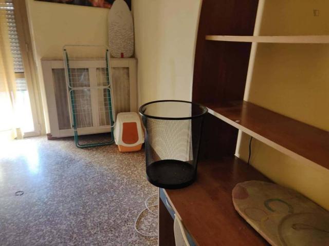 Appartamento in affitto a Milano MI
