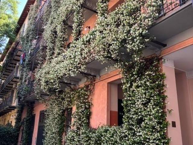 Appartamento in affitto a Milano MI