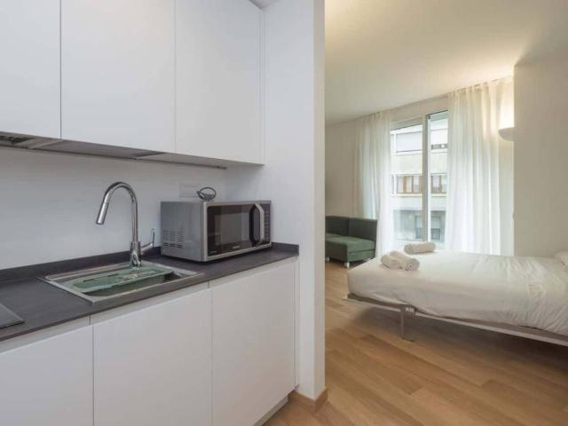 Appartamento in affitto a Milano MI