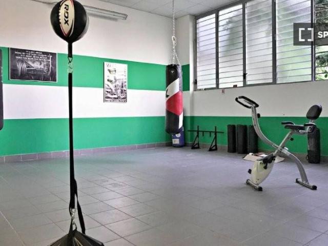 Appartamento in affitto a Milano MI