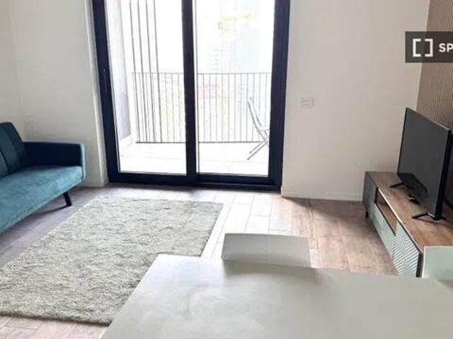 Appartamento in affitto a Milano MI