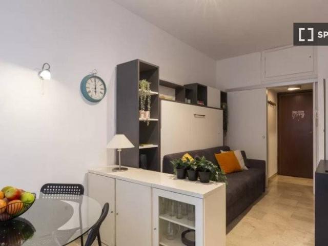 Appartamento in affitto a Milano MI